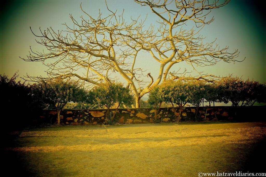 Sajjangard Garden Udaipur